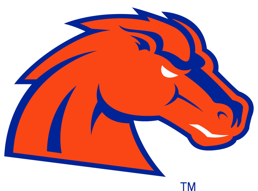 Boise State Broncos 2002-2012 Secondary Logo v31 t shirts iron on transfers